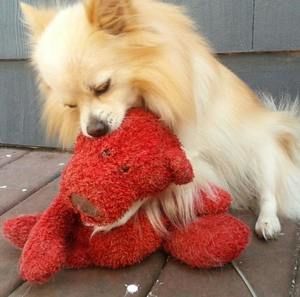 Meet your Posher, Araceliz